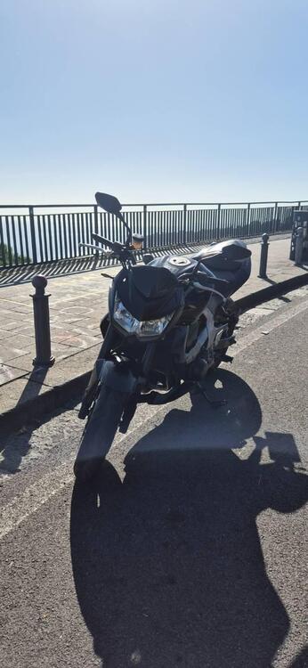 Kawasaki Z 750 (2007 - 14) (5)