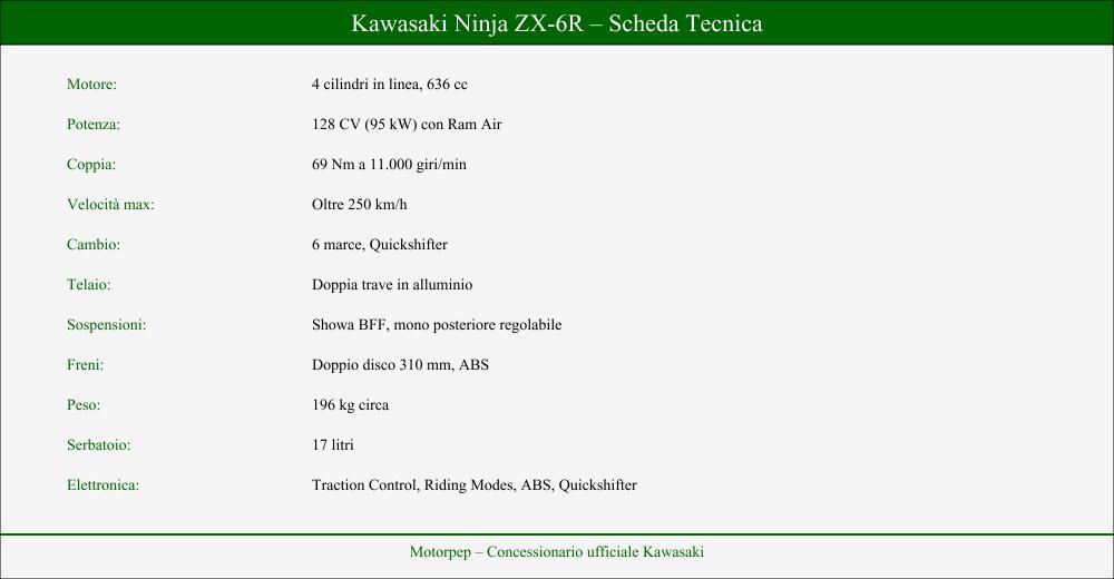Kawasaki Ninja 636 ZX-6R (2024 - 26) (3)