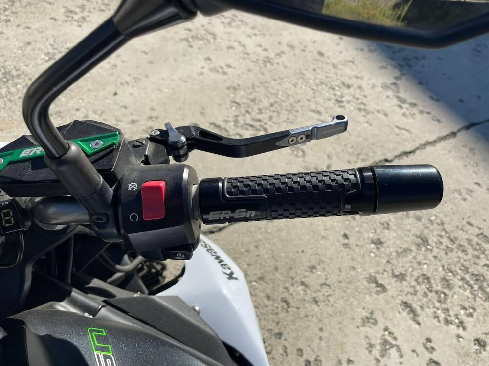 Kawasaki ER-6N ABS (2012 - 16) (4)