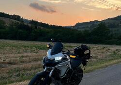 Ducati Multistrada 950 (2018) usata