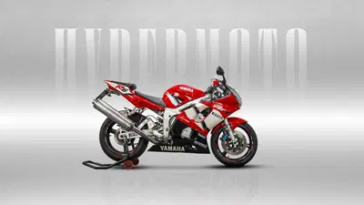 Yamaha YZF R6 (2001 - 02) usata