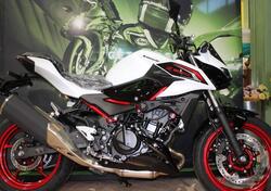 Kawasaki Z 500 SE (2024 - 26) nuova