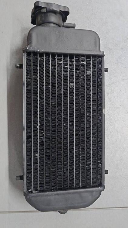 19010ks3900 Radiatore MTX 125 Honda