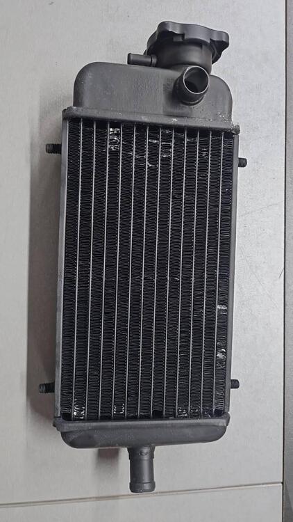 19010ks3900 Radiatore MTX 125 Honda (2)