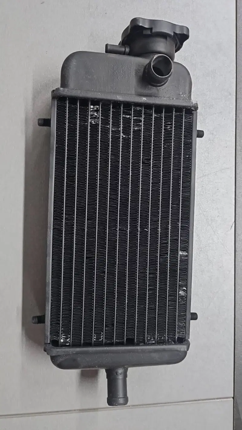 19010ks3900 Radiatore MTX 125 Honda (2)