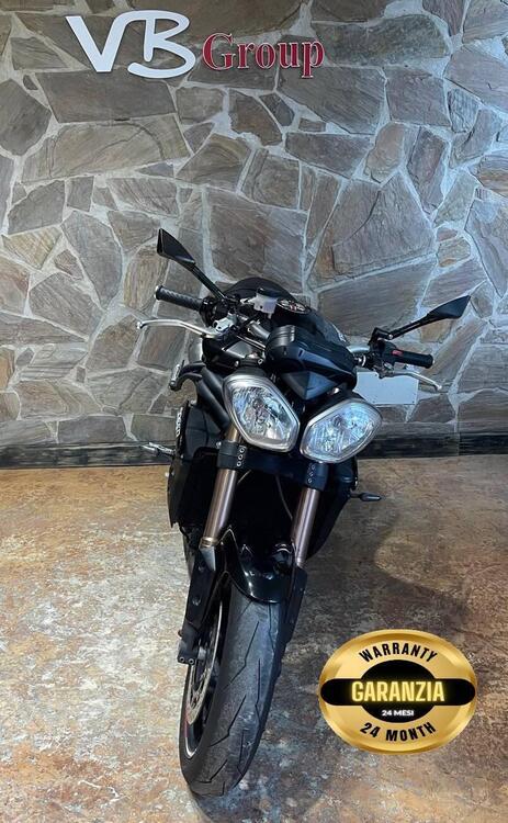Triumph Speed Triple 1050 (2005 - 11) (5)