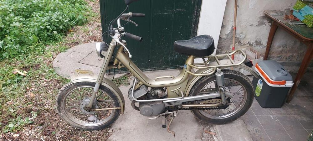 Altre marche Oscar-Mr College