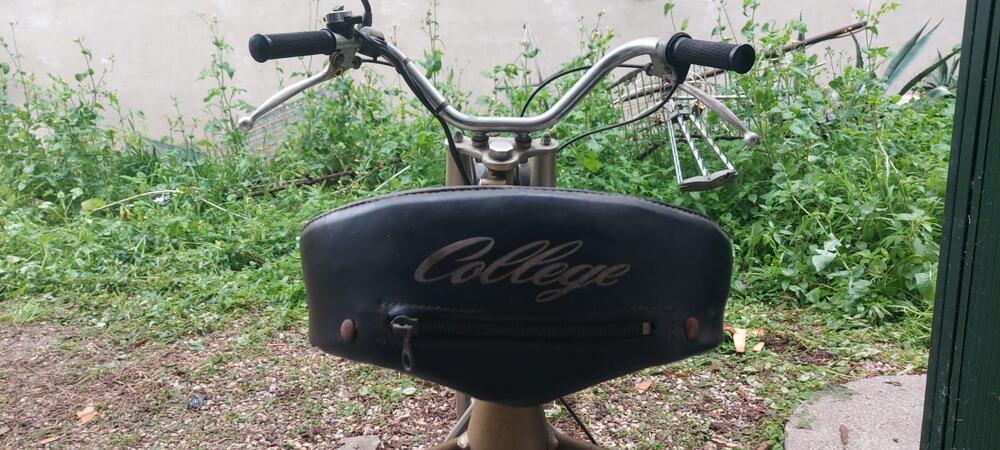 Altre marche Oscar-Mr College (2)