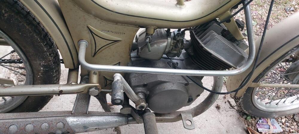 Altre marche Oscar-Mr College (4)