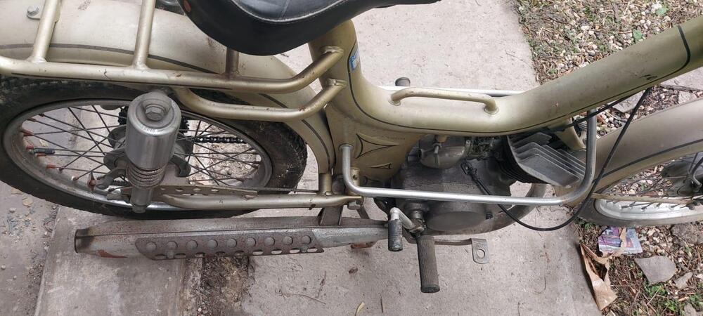 Altre marche Oscar-Mr College (5)