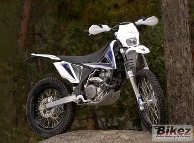 Scorpa T-Ride 250 F usata