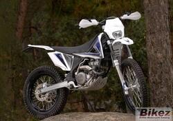 Scorpa T-Ride 250 F usata