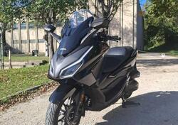 Honda Forza 350 (2025) usata