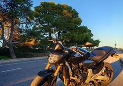 Honda Hornet 600 (2007 - 10) usata