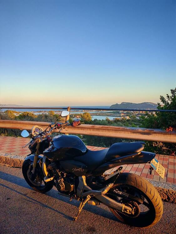 Honda Hornet 600 (2007 - 10) (3)