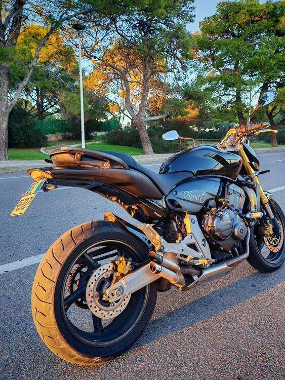 Honda Hornet 600 (2007 - 10) (4)