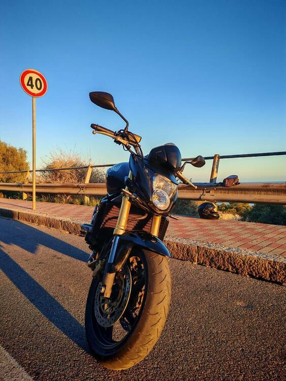 Honda Hornet 600 (2007 - 10) (5)