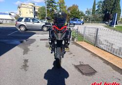 QJ Motor SRT 800 SX (2024 - 25) usata