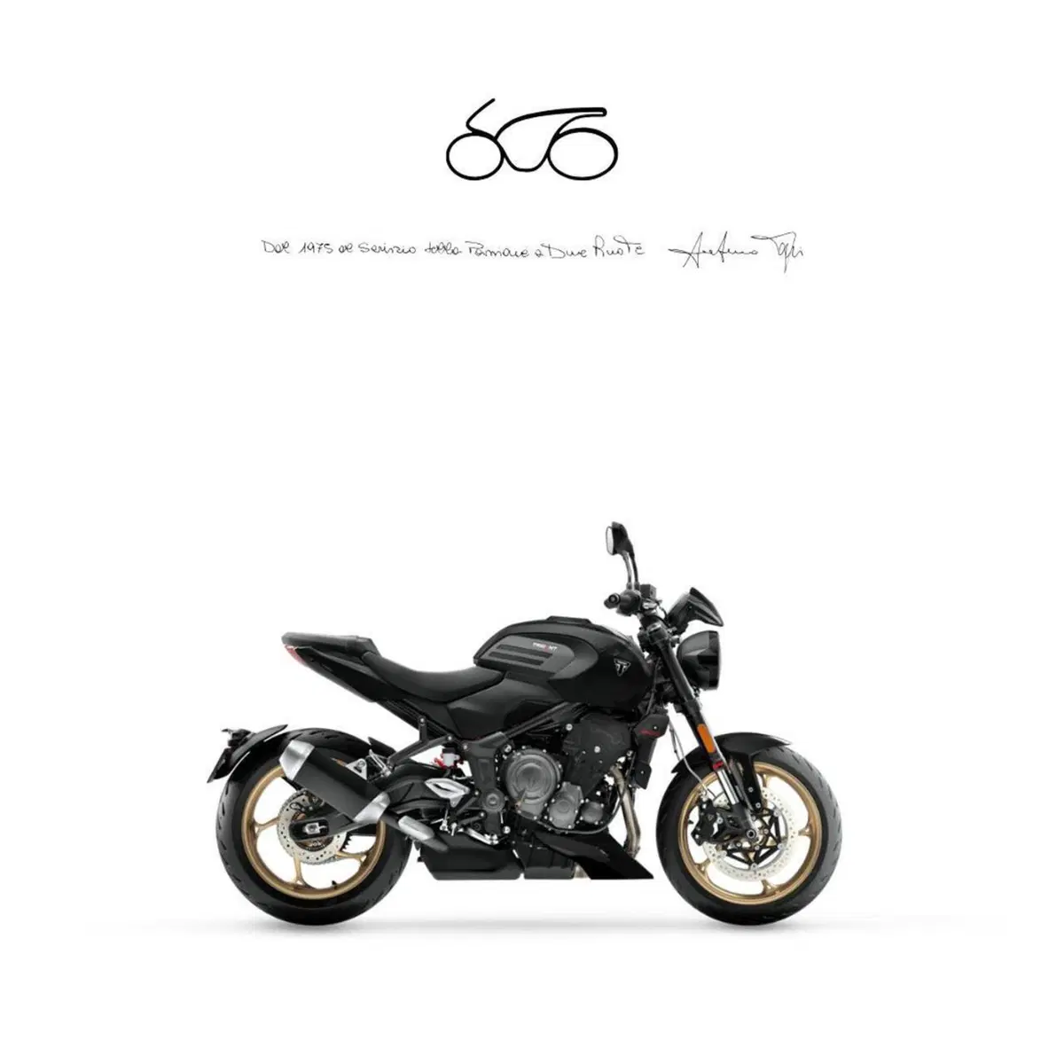 Triumph Trident 800 (2026)