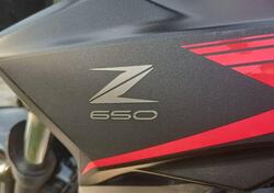 Kawasaki Z 650 (2021 - 24) usata
