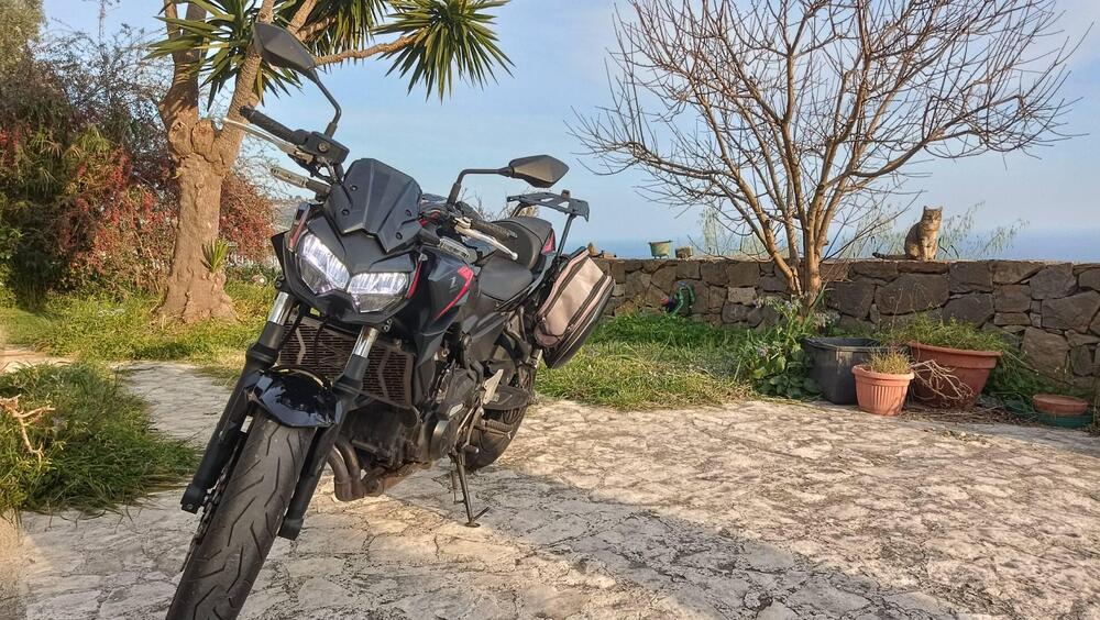 Kawasaki Z 650 (2021 - 24) (5)