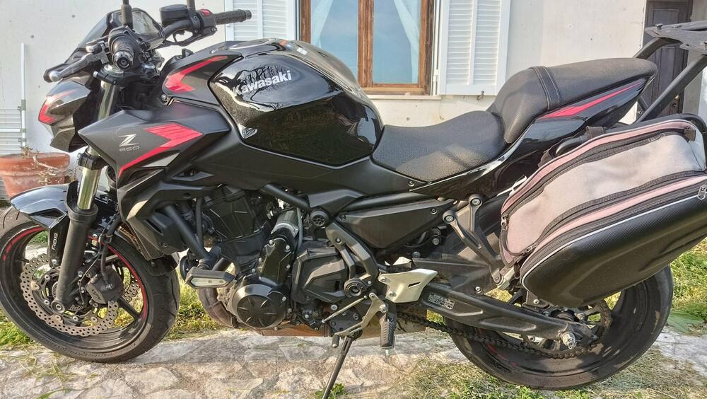 Kawasaki Z 650 (2021 - 24) (4)