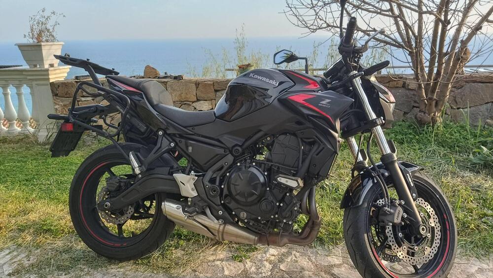 Kawasaki Z 650 (2021 - 24) (2)