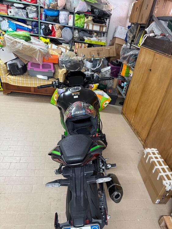 Kawasaki Z 900 Performance (2025 - 26) (2)