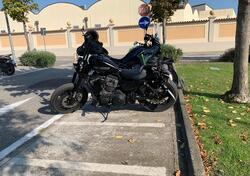 Harley-Davidson 1200 Roadster (2017 - 20) - XL 1200R usata