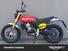 Fantic Motor Caballero 125 Scrambler (2025) (6)