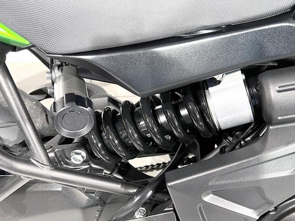 Kawasaki Versys 650 (2021 - 24) (3)