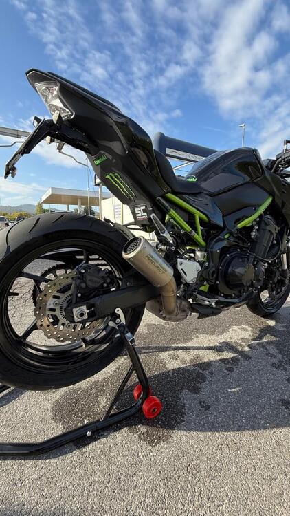 Kawasaki Z 900 (2021 - 24) (5)