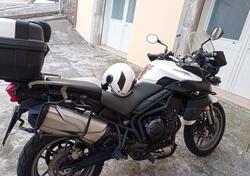 Triumph Tiger 800 ABS (2010 - 14) usata