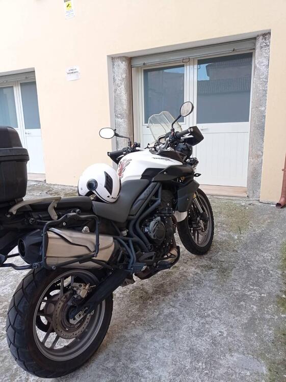 Triumph Tiger 800 ABS (2010 - 14) (2)