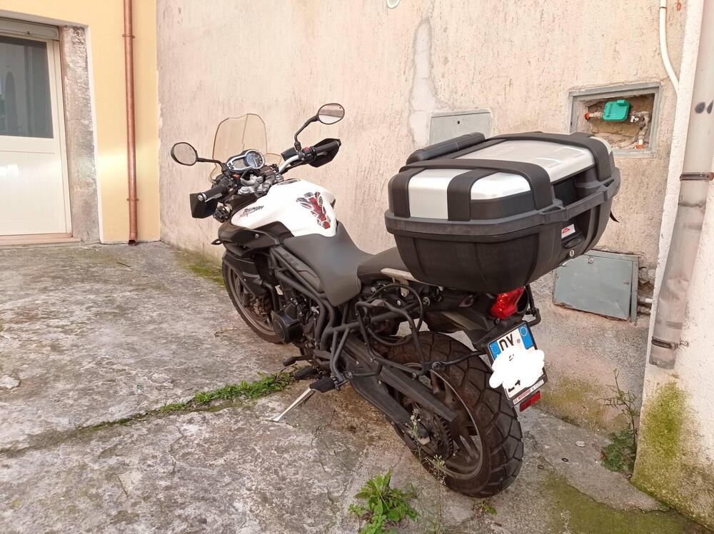 Triumph Tiger 800 ABS (2010 - 14) (3)