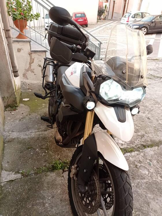 Triumph Tiger 800 ABS (2010 - 14) (5)