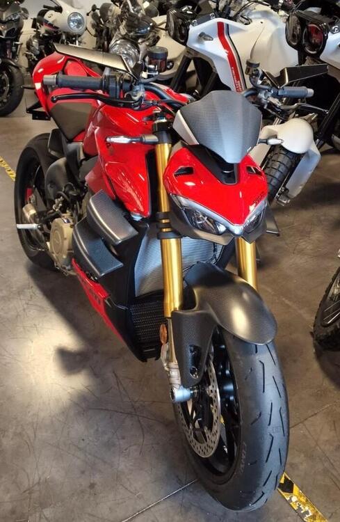 Ducati Streetfighter V4 S (2023 - 24) (4)