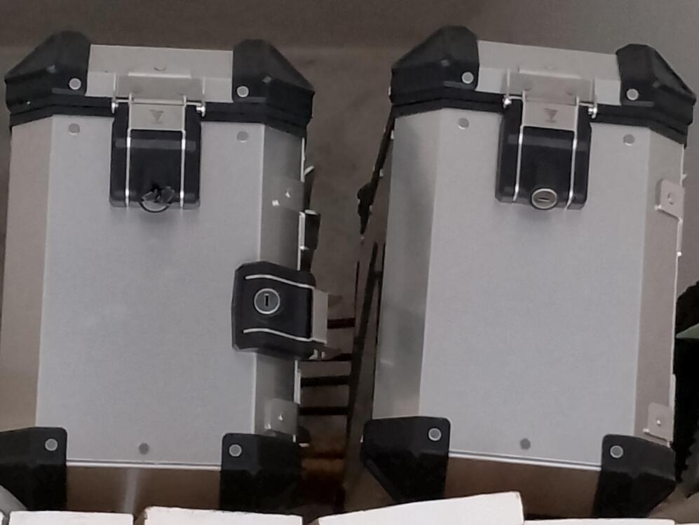 Voge Valico 500DSX (2021 - 24) (2)