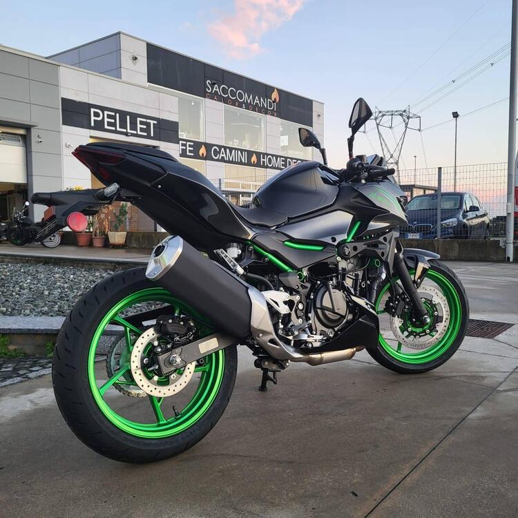 Kawasaki Z 500 SE (2024 - 26) (2)