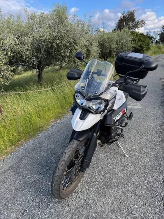 Triumph Tiger 800 XCx (2015 - 17) (3)