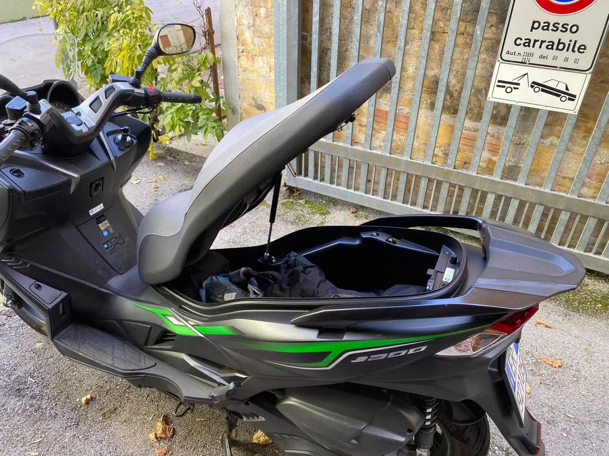Kawasaki J 300 (2017 - 21) (5)