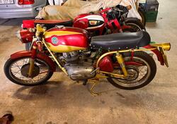 Benelli 175 SUPER SPORT d'epoca