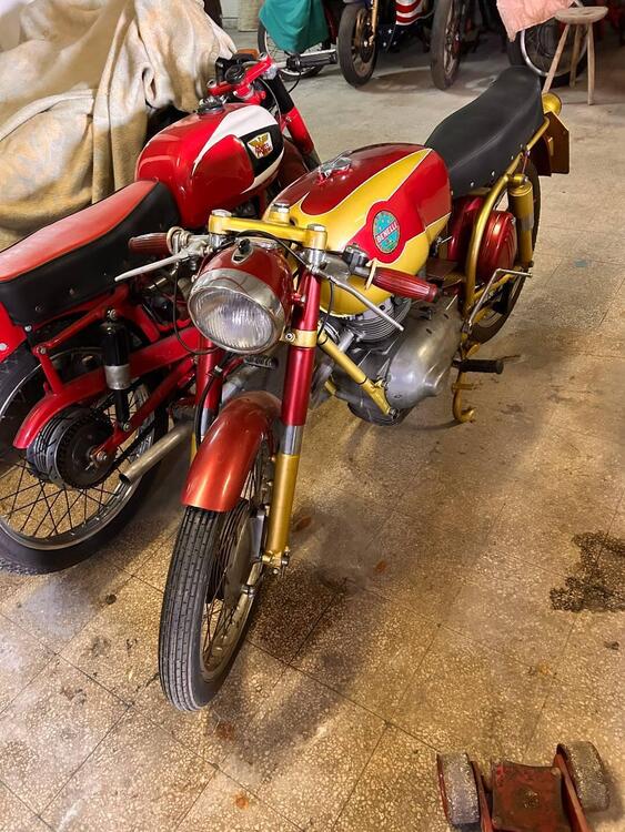 Benelli 175 SUPER SPORT (2)