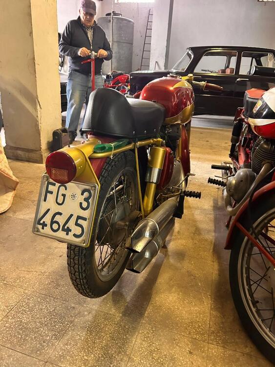 Benelli 175 SUPER SPORT (3)