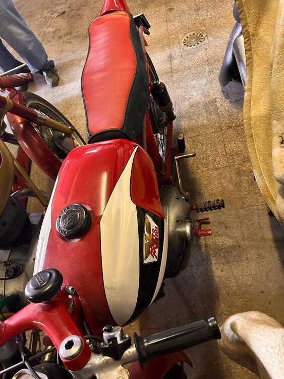 Moto Morini 175 CC (2)