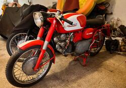 Aermacchi Harley-Davidson 250 SPORT d'epoca