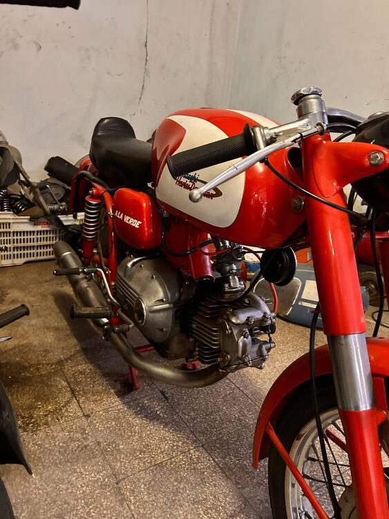 Aermacchi Harley-Davidson 250 SPORT (3)