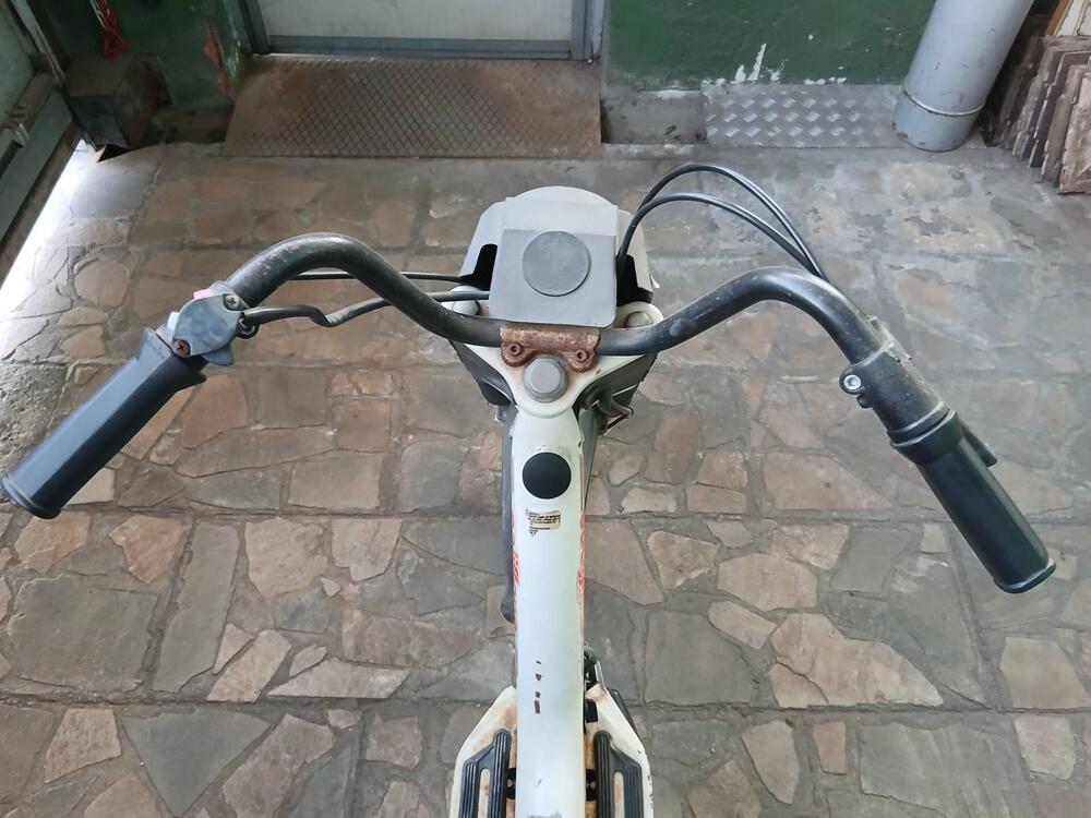 Rizzato califfone (2)