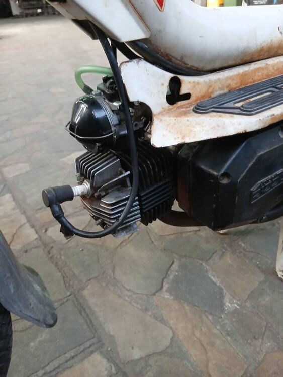 Rizzato califfone (3)