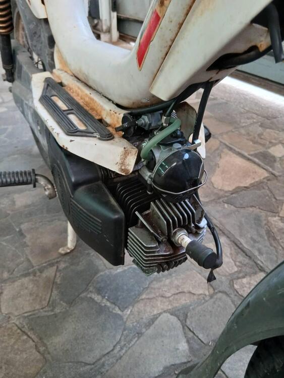 Rizzato califfone (4)